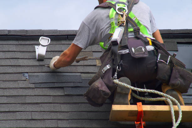 Best Roof Gutter Cleaning  in Girard, KS